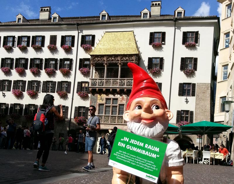 BELLAFLORA - "Mehr Basilikum für alle!"